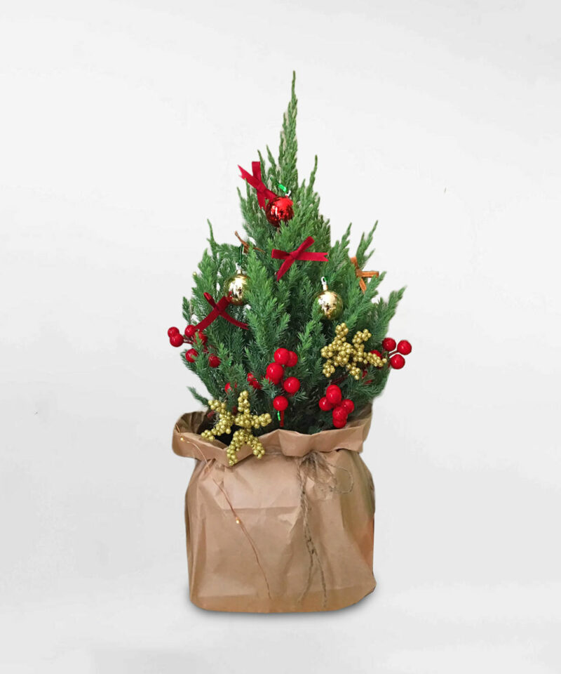 cây thông noel mini để bàn